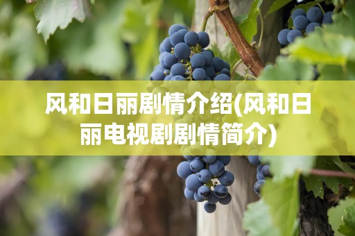 风和日丽剧情介绍(风和日丽电视剧剧情简介)