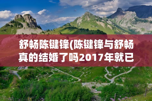 舒畅陈键锋(陈键锋与舒畅真的结婚了吗2017年就已经分手)