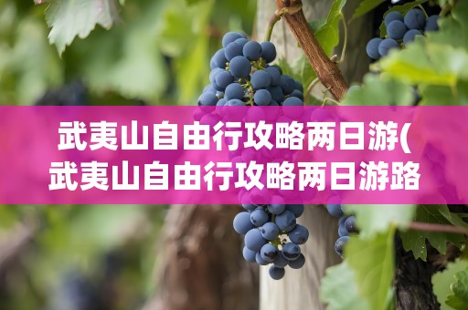 武夷山自由行攻略两日游(武夷山自由行攻略两日游路线)