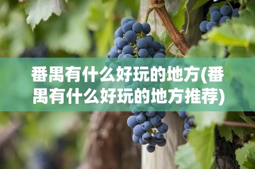番禺有什么好玩的地方(番禺有什么好玩的地方推荐)