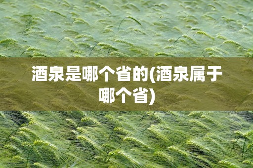 酒泉是哪个省的(酒泉属于哪个省)
