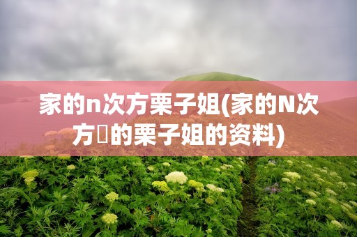 家的n次方栗子姐(家的N次方裏的栗子姐的资料)