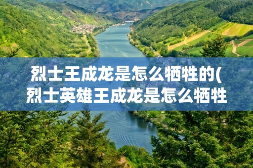 烈士王成龙是怎么牺牲的(烈士英雄王成龙是怎么牺牲的)