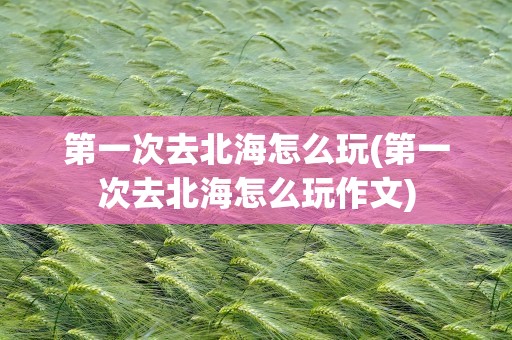 第一次去北海怎么玩(第一次去北海怎么玩作文)