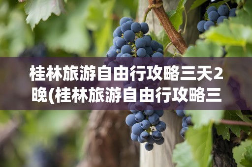 桂林旅游自由行攻略三天2晚(桂林旅游自由行攻略三天)
