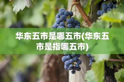 华东五市是哪五市(华东五市是指哪五市)