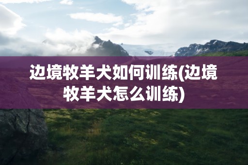 边境牧羊犬如何训练(边境牧羊犬怎么训练)