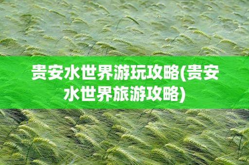 贵安水世界游玩攻略(贵安水世界旅游攻略)
