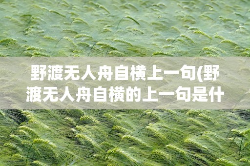 野渡无人舟自横上一句(野渡无人舟自横的上一句是什么)
