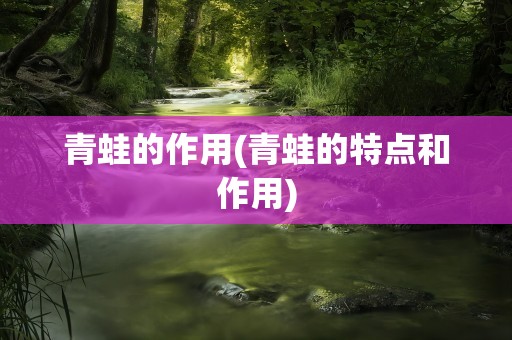 青蛙的作用(青蛙的特点和作用)