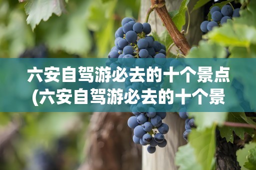 六安自驾游必去的十个景点(六安自驾游必去的十个景点免费)