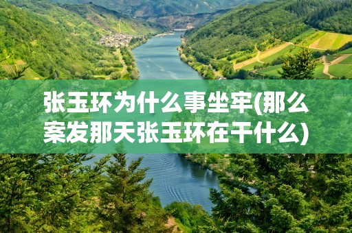 张玉环为什么事坐牢(那么案发那天张玉环在干什么)