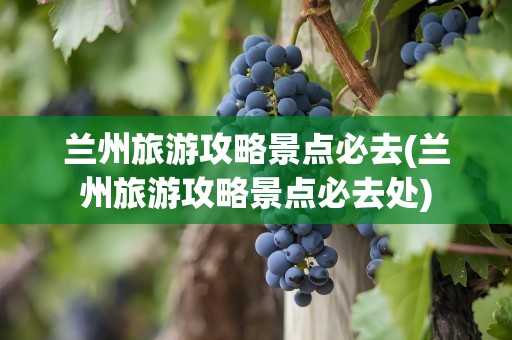 兰州旅游攻略景点必去(兰州旅游攻略景点必去处)