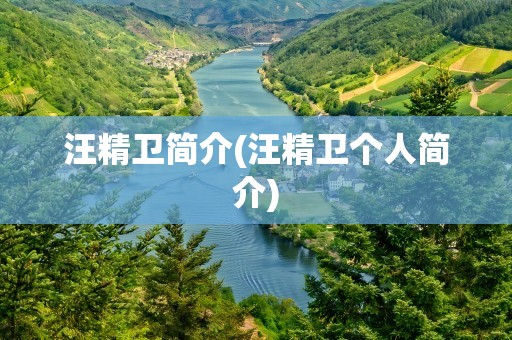 汪精卫简介(汪精卫个人简介)