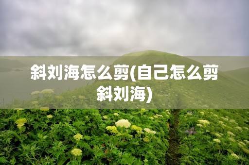 斜刘海怎么剪(自己怎么剪斜刘海)