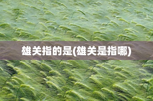 雄关指的是(雄关是指哪)