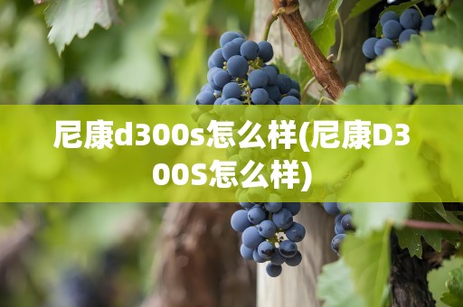 尼康d300s怎么样(尼康D300S怎么样)