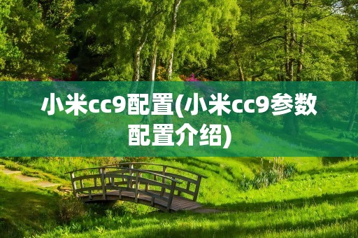小米cc9配置(小米cc9参数配置介绍)