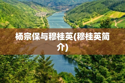 杨宗保与穆桂英(穆桂英简介)