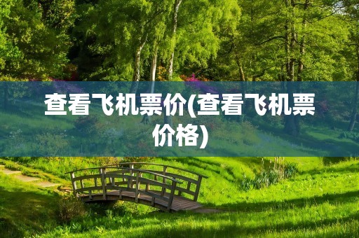查看飞机票价(查看飞机票价格)