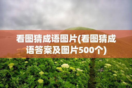 看图猜成语图片(看图猜成语答案及图片500个)