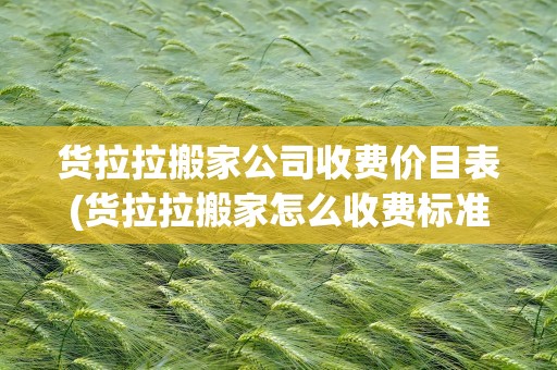 货拉拉搬家公司收费价目表(货拉拉搬家怎么收费标准)