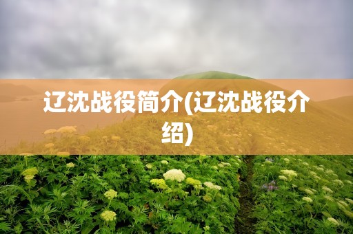 辽沈战役简介(辽沈战役介绍)