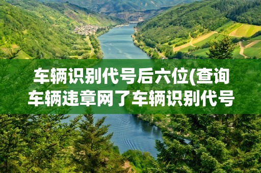 车辆识别代号后六位(查询车辆违章网了车辆识别代号后六位怎么查)