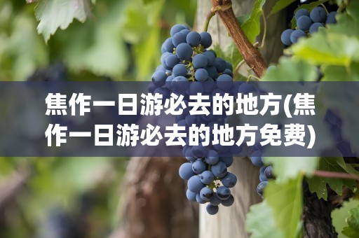 焦作一日游必去的地方(焦作一日游必去的地方免费)