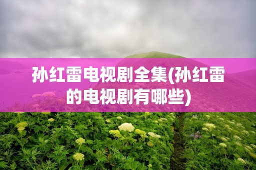 孙红雷电视剧全集(孙红雷的电视剧有哪些)