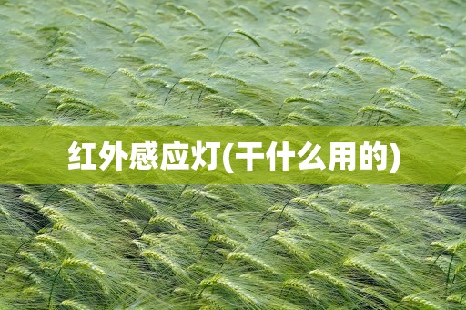 红外感应灯(干什么用的)