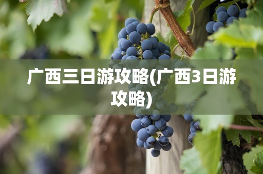 广西三日游攻略(广西3日游攻略)