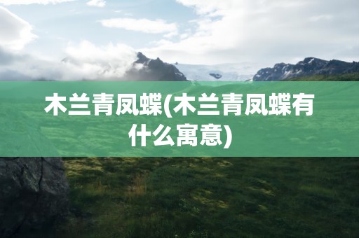 木兰青凤蝶(木兰青凤蝶有什么寓意)