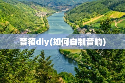 音箱diy(如何自制音响)