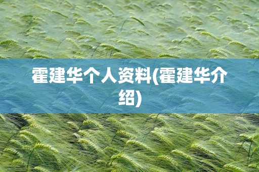 霍建华个人资料(霍建华介绍)