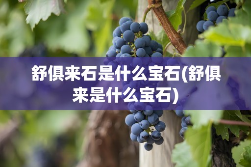 舒俱来石是什么宝石(舒俱来是什么宝石)
