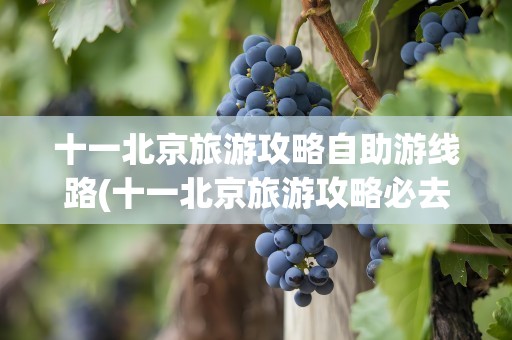 十一北京旅游攻略自助游线路(十一北京旅游攻略必去景点)