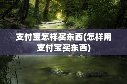 支付宝怎样买东西(怎样用支付宝买东西)