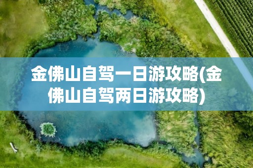 金佛山自驾一日游攻略(金佛山自驾两日游攻略)