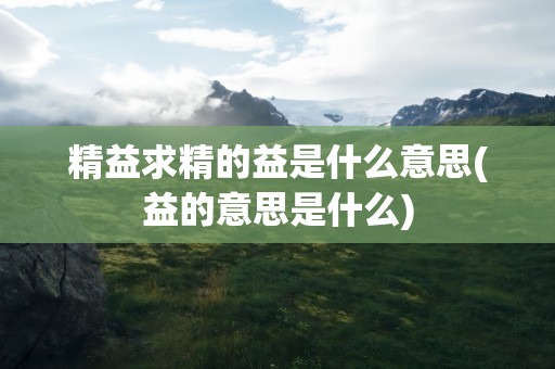 精益求精的益是什么意思(益的意思是什么)