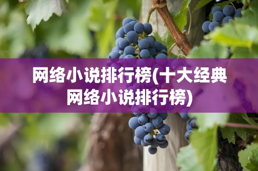 网络小说排行榜(十大经典网络小说排行榜)