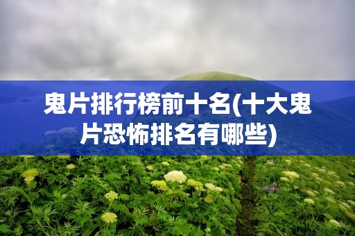 鬼片排行榜前十名(十大鬼片恐怖排名有哪些)