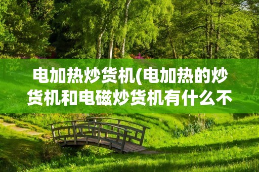 电加热炒货机(电加热的炒货机和电磁炒货机有什么不一样)