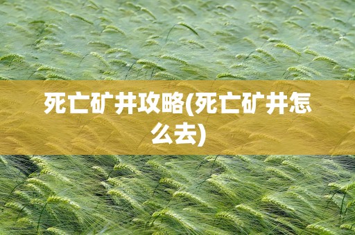 死亡矿井攻略(死亡矿井怎么去)