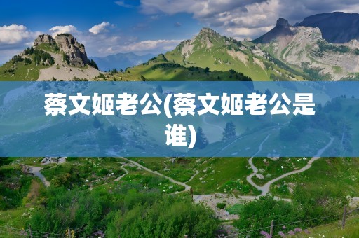 蔡文姬老公(蔡文姬老公是谁)