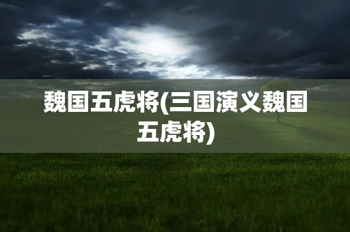 魏国五虎将(三国演义魏国五虎将)