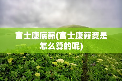 富士康底薪(富士康薪资是怎么算的呢)
