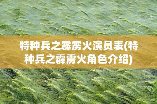 特种兵之霹雳火演员表(特种兵之霹雳火角色介绍)