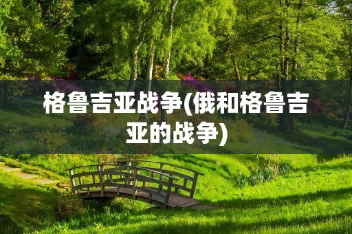 格鲁吉亚战争(俄和格鲁吉亚的战争)