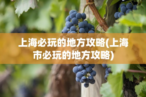 上海必玩的地方攻略(上海市必玩的地方攻略)